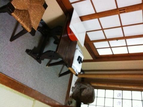 Ryokan Kyoka Kyoto Bagian luar foto